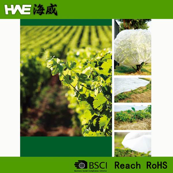 Plant Freeze Protection Covers for Winter Cold Weather and Frost