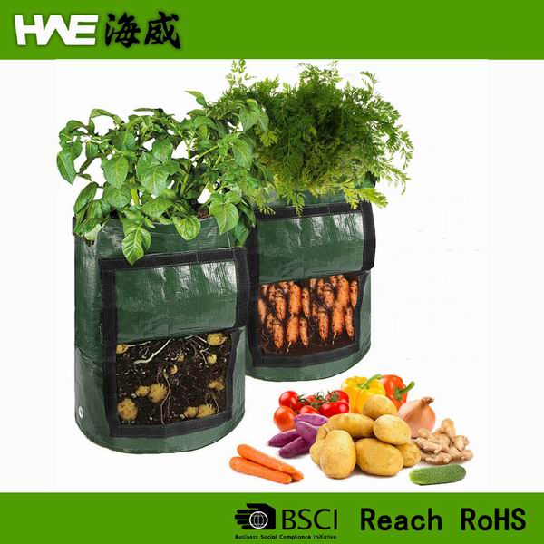 Popup Strawberry Planting Grow Bag