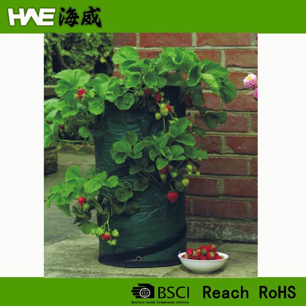 Popup Strawberry Planting Grow Bag