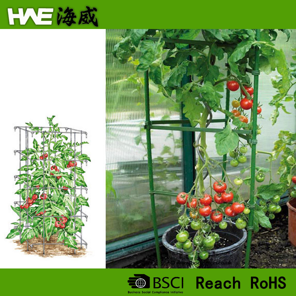 Flexible Plant Climbing Support tomato cage