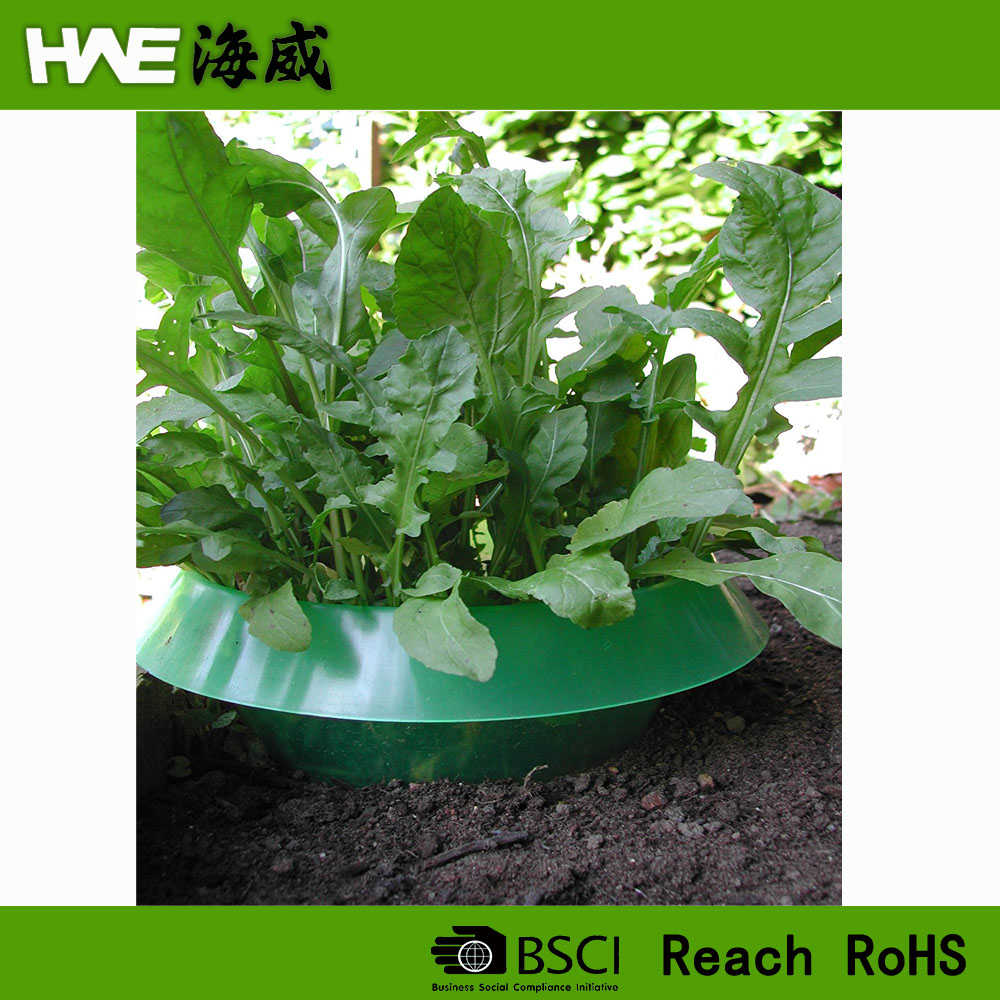 Garden Plant  lawn Edging Snail slug collars