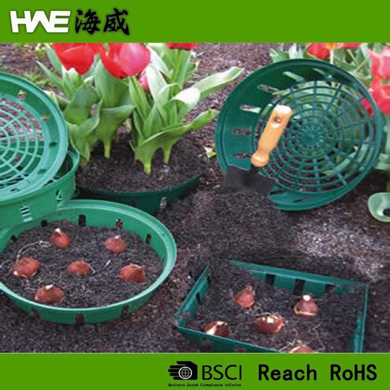 Plastic Bulb Planting Baskets  Trays