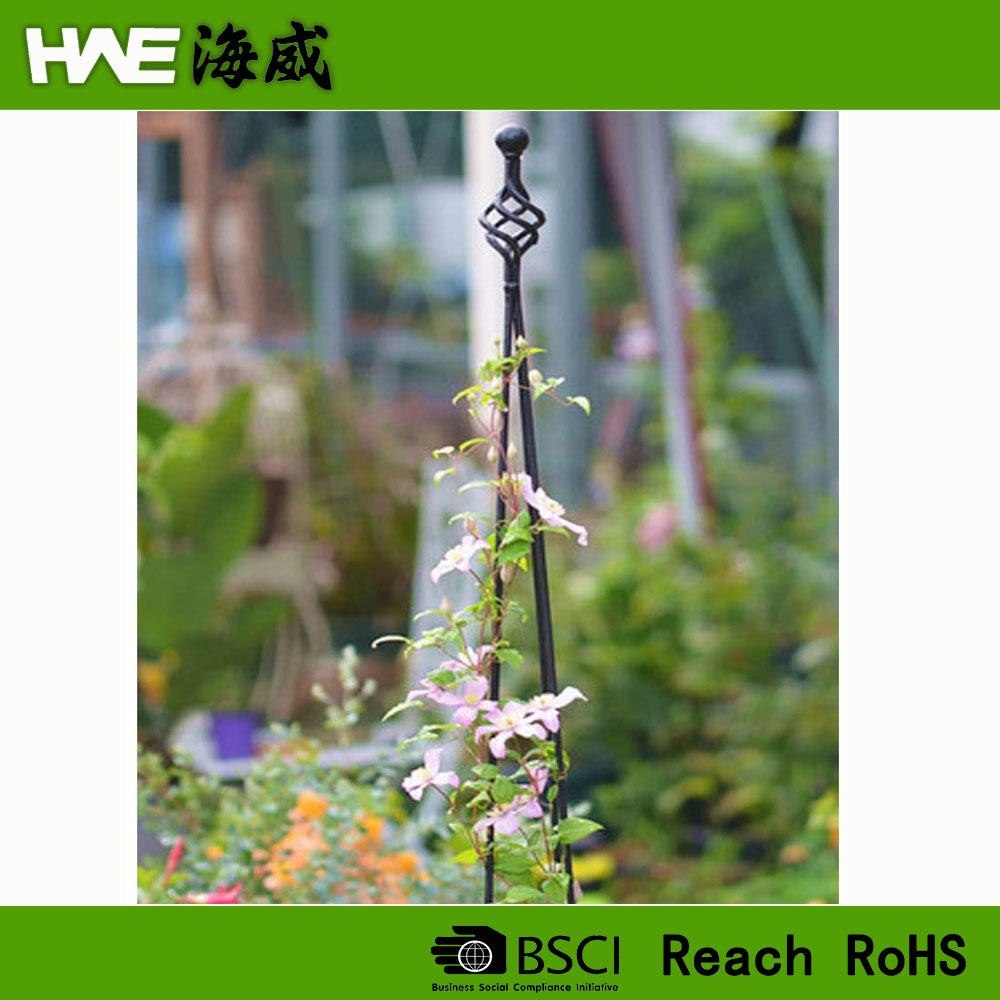 D5 Garden  Plant Support Potted Climbing Plants.jpg
